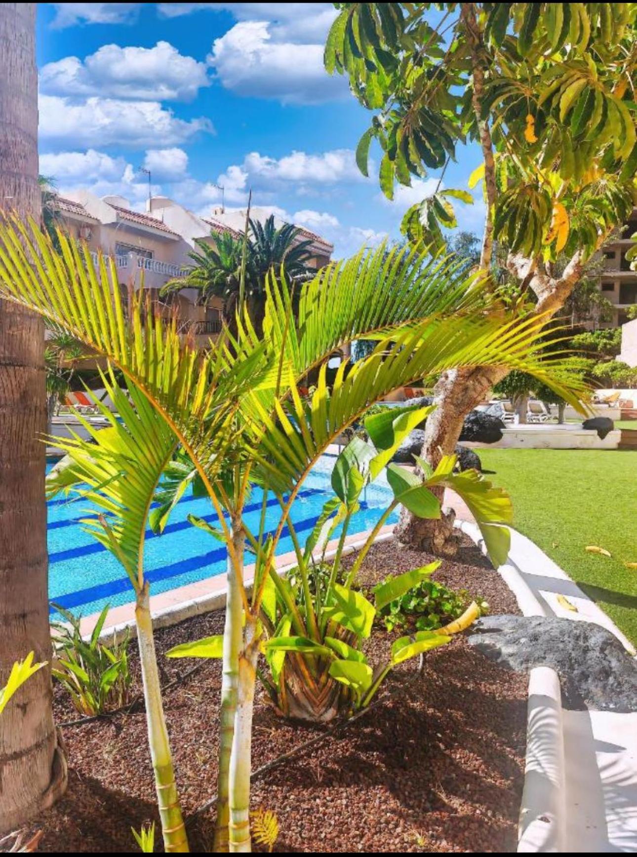 Heart And Soul Apartment San Miguel de Abona Exterior photo